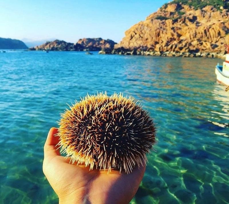 Hai Giang Island has the best and most beautiful coral reefs. Photo: Nguoi Dua Tin Hai Giang Island has the best and most beautiful coral reefs. Photo: Nguoi Dua Tin