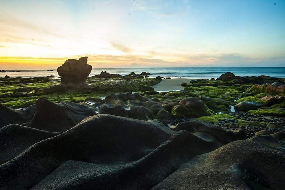 The moss carpet in Co Thach. Photo: Fanpage Co Thach beach 