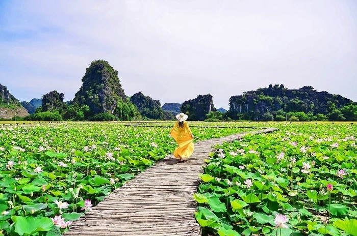 Photo: Vietnamnet Photo: Vietnamnet