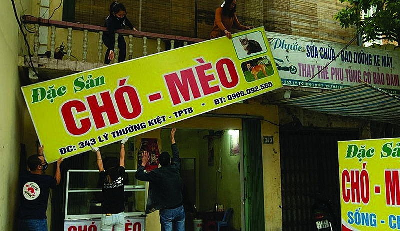 Photo: Vietnam Investment Review 4913-the-journey-to-rescue-dogs-and-cats-in-vietnam-1