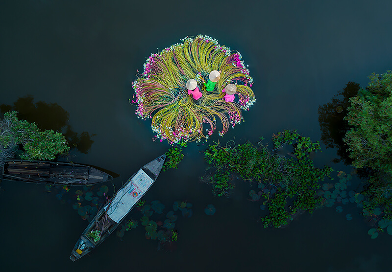 Photo: Khanh Phan 4629-phot-khanh-phan-thi-8