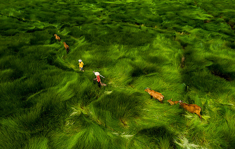 Photo: Khanh Phan 4715-phot-khanh-phan-thi-9