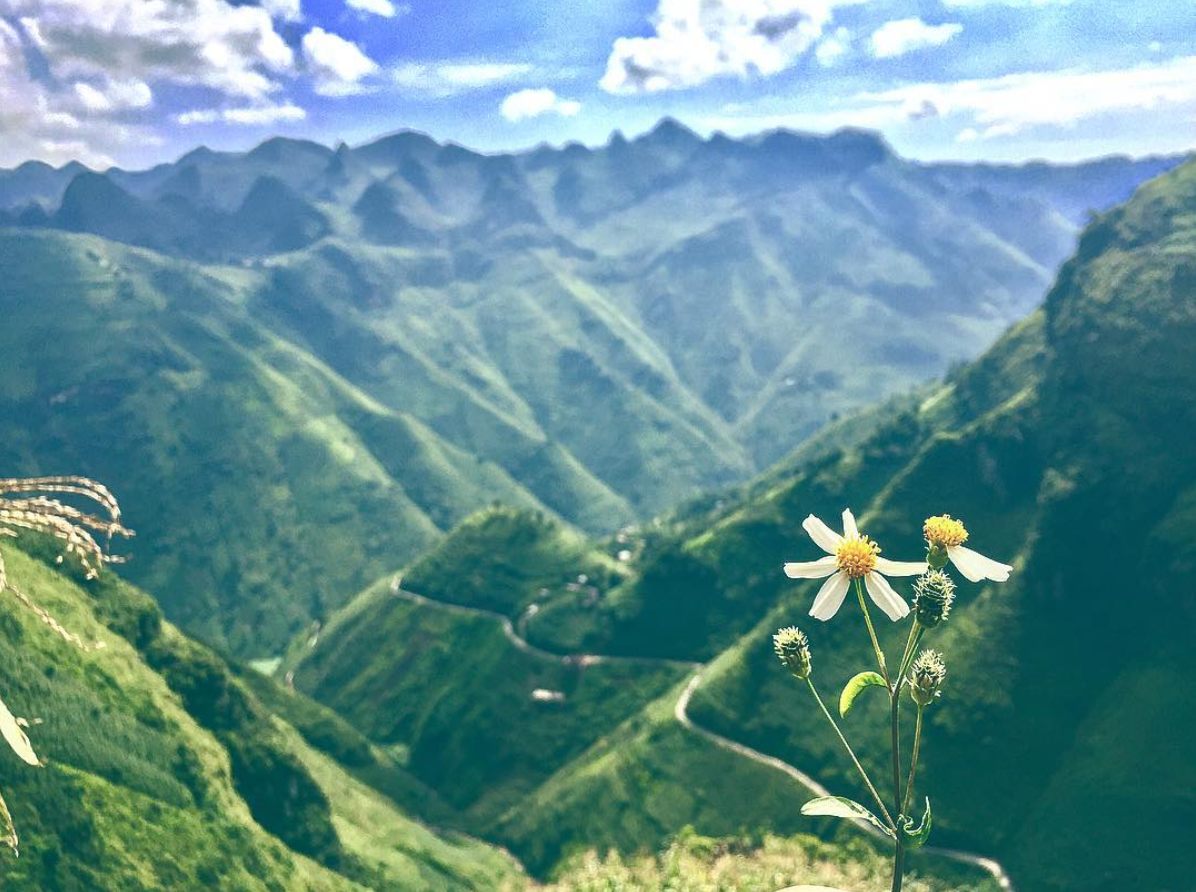 Photo: Instagram @thang.huynh83 3707-screen-shot-2018-07-24-at-95125-pm
