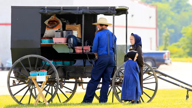 An Amish family sells berries in Springville, NY. Photo: AP 0238-1408119017000-ap-new-york-daily-life