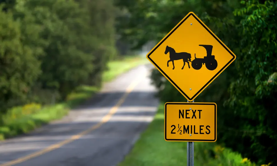 Most Amish people live in small communities of about 20 households. Photograph: Dan Callister 1127-5351