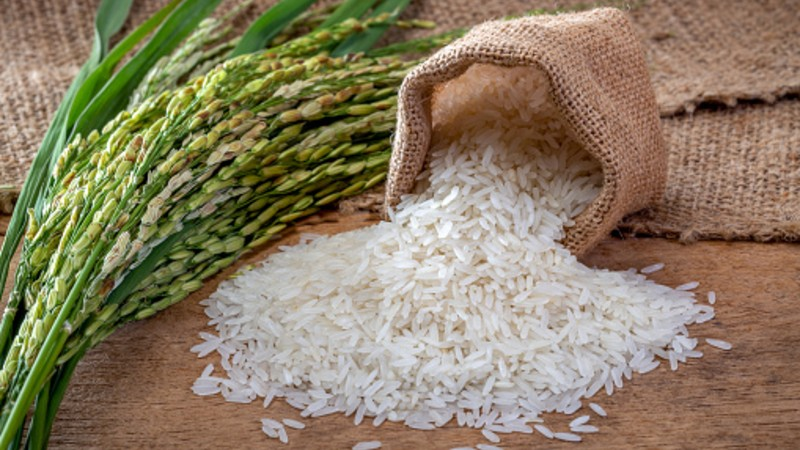 Illustrative photo 0529-foodnavigator-asia