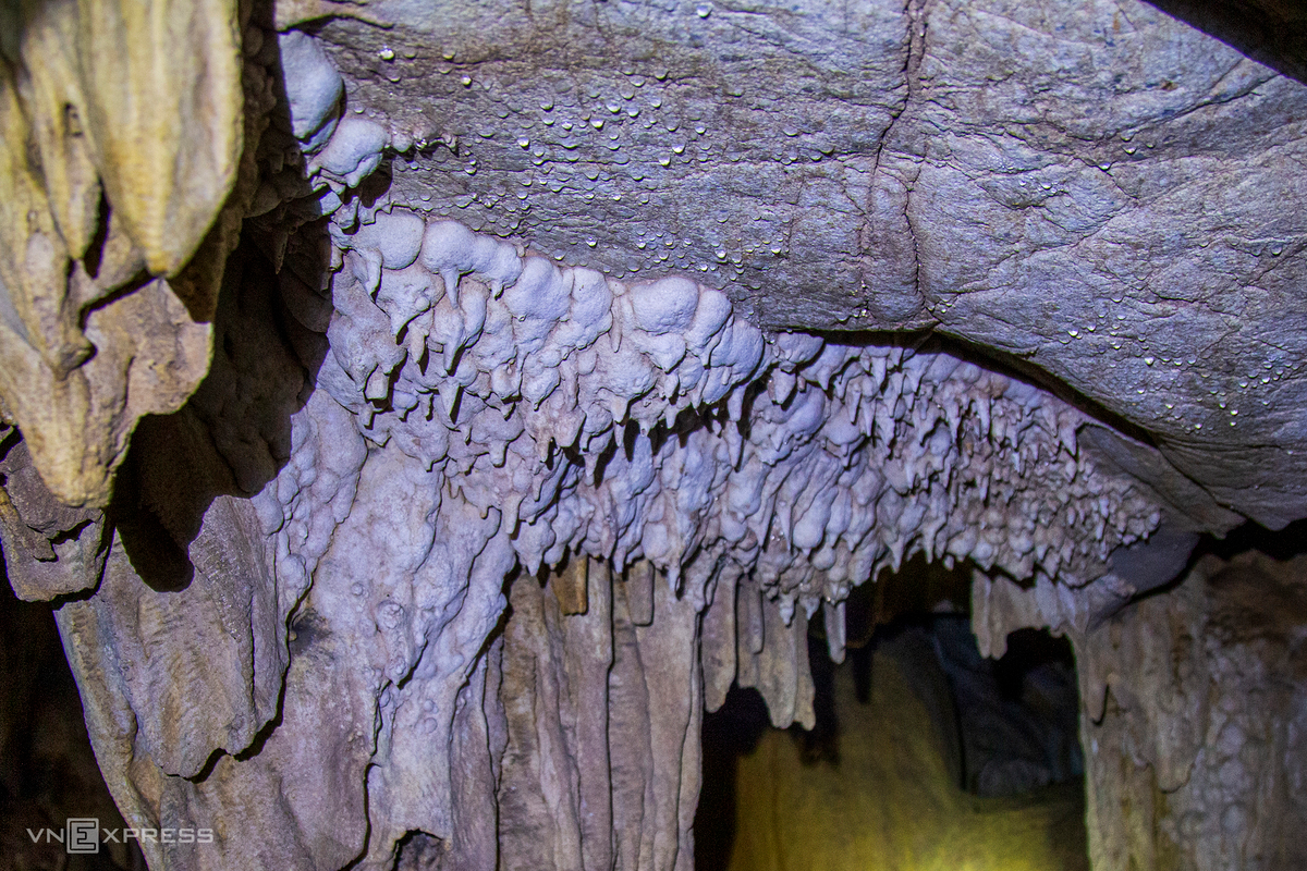 Stalactites jut from the cave roof. Currently, the cave is being explored for the future purpose of tourism. (Photo: VnExpress) Stalactites jut from the cave roof. Currently, the cave is being explored for the future purpose of tourism. (Photo: VnExpress)