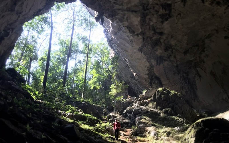 Howard and his expedition team have, within 20 days, discovered 12 new caves in Bo Trach, Quang Ninh and Minh Hoa districts, including Nuoc Ngam Cave, Nuoc Lan 3 Cave, Phu Nhieu 4 Cave, Doc Co Cave, etc. (Photo courtesy of Howard Limbert) Howard and his expedition team have, within 20 days, discovered 12 new caves in Bo Trach, Quang Ninh and Minh Hoa districts, including Nuoc Ngam Cave, Nuoc Lan 3 Cave, Phu Nhieu 4 Cave, Doc Co Cave, etc. (Photo courtesy of Howard Limbert)