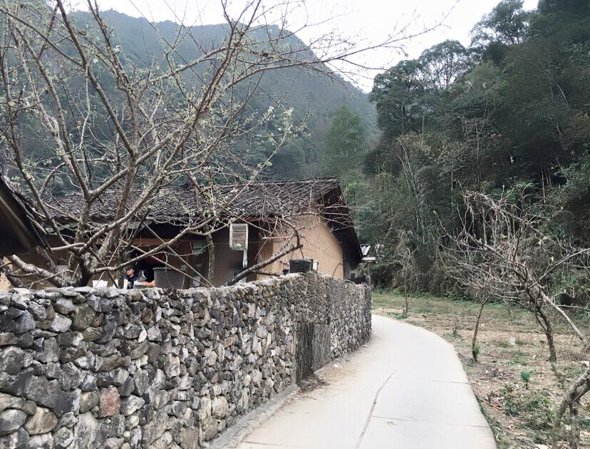 Photo: myhagiang Photo: myhagiang