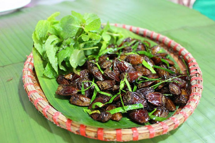 Photo: Nhà Nông Xanh Photo: Nhà Nông Xanh