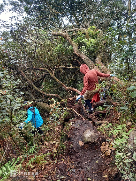 On the second day, the journey involves about three to 3.5 kilometers of walking through a steeper and denser forest. In the rainy season, mosquitoes and leeches are rampant, so visitors need to wear headscarves, long-sleeved clothing, and carry insect repellent. (Photo: VnExpress) On the second day, the journey involves about three to 3.5 kilometers of walking through a steeper and denser forest. In the rainy season, mosquitoes and leeches are rampant, so visitors need to wear headscarves, long-sleeved clothing, and carry insect repellent. (Photo: VnExpress)
