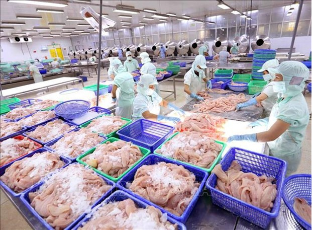 Vietnam’s aquatic product exports increase by 3% in the first quarter of 2021. Photo: VNA Vietnam’s aquatic product exports increase by 3% in the first quarter of 2021. Photo: VNA