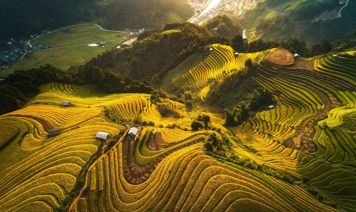 “Golden rice season” of photographer Vu Ngoc Tuan (Hanoi) captures the winding, gorgeous rice terraces in Mu Cang Chai, Yen Bai. His other work, “Flower nets” with a fishing boat casting nest off Phu Yen Province coast is one of top 100 drone photos. “Golden rice season” of photographer Vu Ngoc Tuan (Hanoi) captures the winding, gorgeous rice terraces in Mu Cang Chai, Yen Bai. His other work, “Flower nets” with a fishing boat casting nest off Phu Yen Province coast is one of top 100 drone photos.