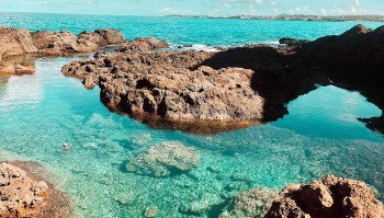 A Guide Trip To Visit Phu Quy Island, The 