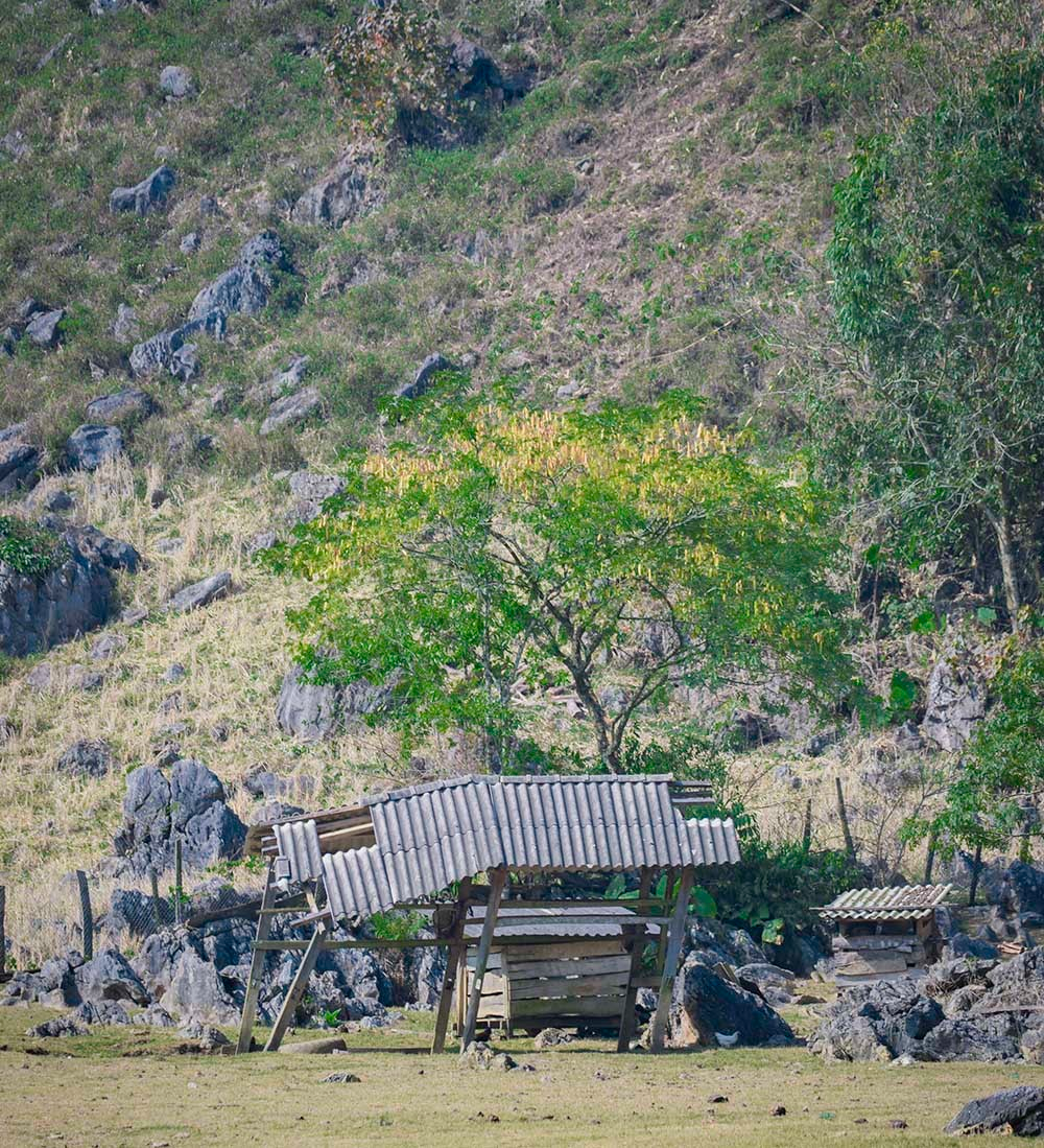 Life with nature. Photo: Duc Giang Life with nature. Photo: Duc Giang