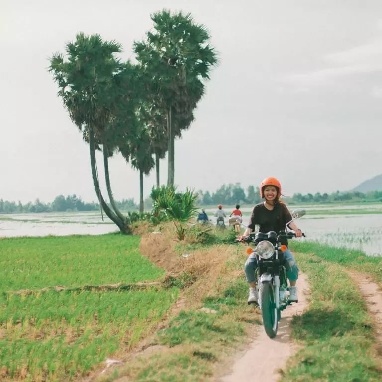 Discover The Unique “Lonely Trees” For Young Travelers To “Check-In” In Vietnam Discover The Unique “Lonely Trees” For Young Travelers To “Check-In” In Vietnam
