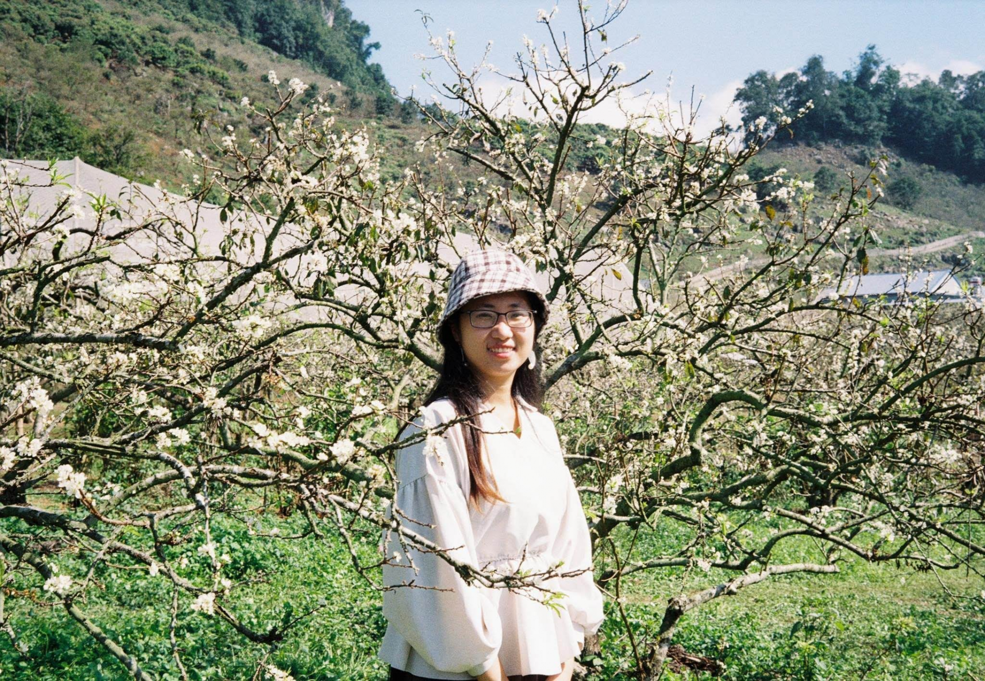 Plum flower season at Moc Chau. Photo: NVCC Plum flower season at Moc Chau. Photo: NVCC