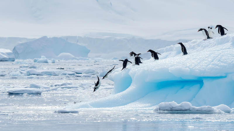 Photo: Getty Images Photo: Getty Images