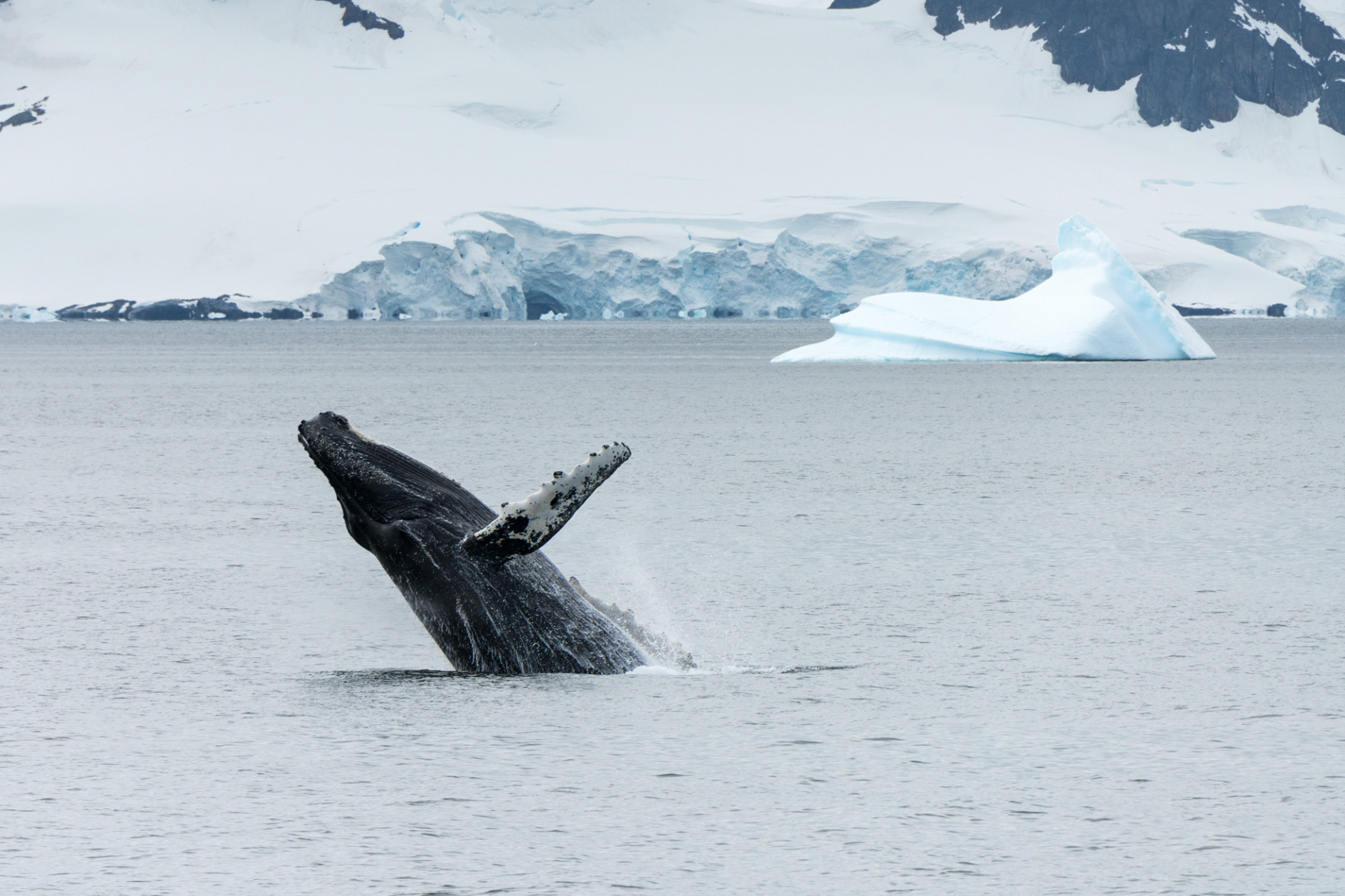 Photo: Expeditions Photo: Expeditions