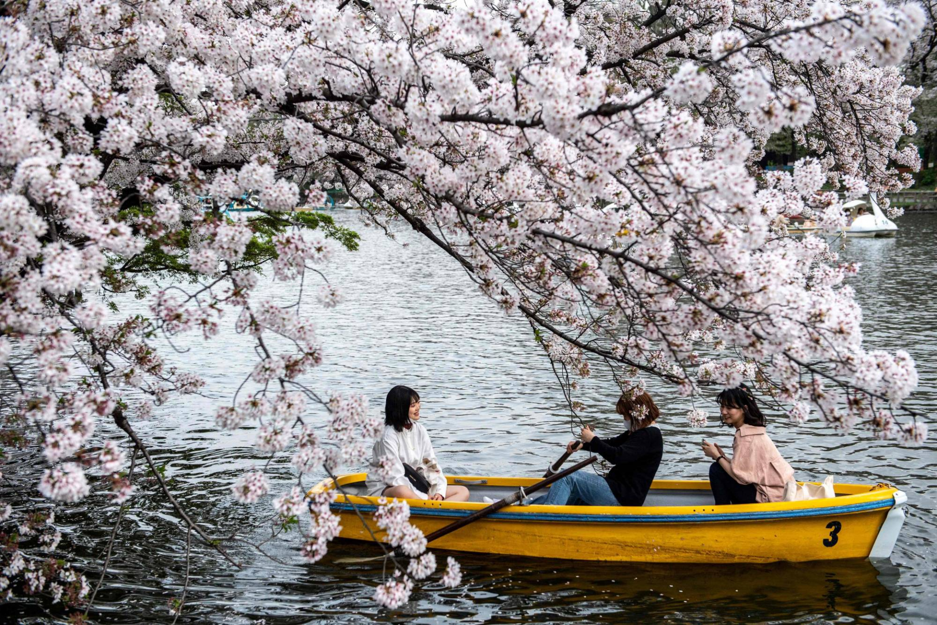 Photo: The Japan Times Photo: The Japan Times