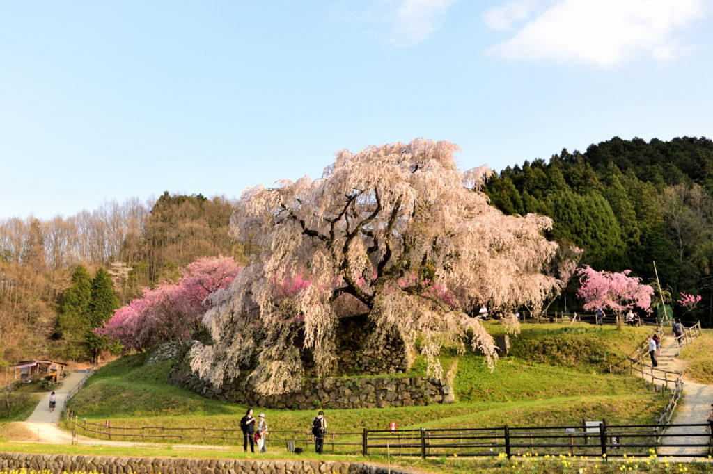 Photo: Japan Dramatic Scene Photo: Japan Dramatic Scene