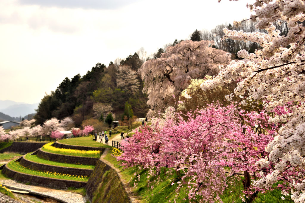 Photo: Japan Dramatic Scene Photo: Japan Dramatic Scene