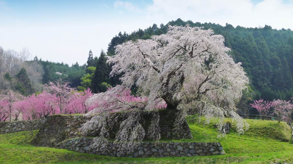 Photo: Kansai Travel Guide Photo: Kansai Travel Guide
