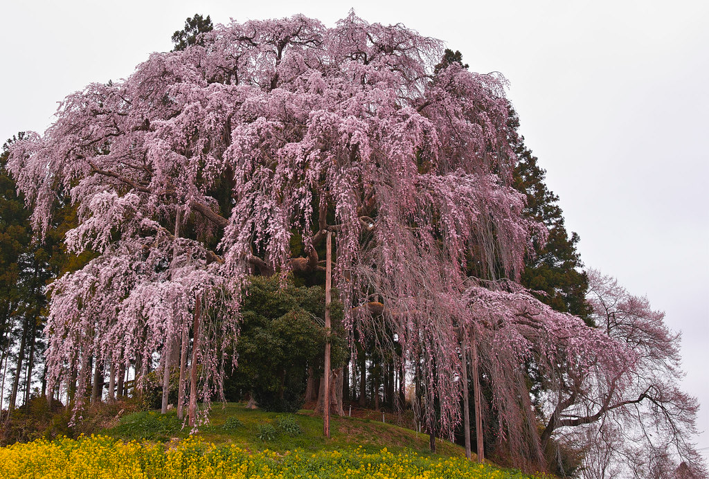 Photo: Flickr Photo: Flickr