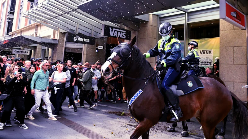 Protesters and mounted police clash at Sydney Town Hall on Saturday. Mick Tsikas/AP Protesters and mounted police clash at Sydney Town Hall on Saturday. Mick Tsikas/AP