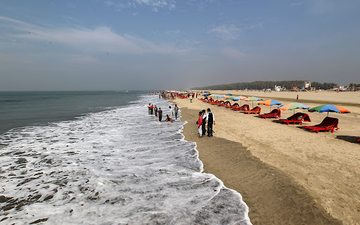 Photo: Getty Images Photo: Getty Images