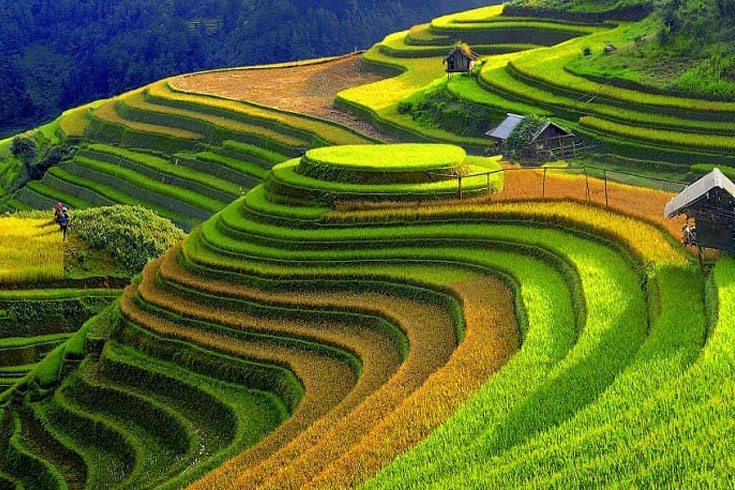 Photo: @traveltoasia.xyz Photo: @traveltoasia.xyz