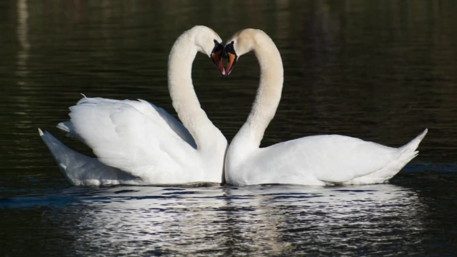 Photo: BBC Photo: BBC