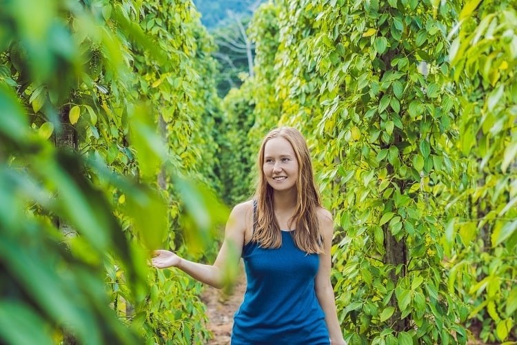 Photo: Shutterstock Photo: Shutterstock