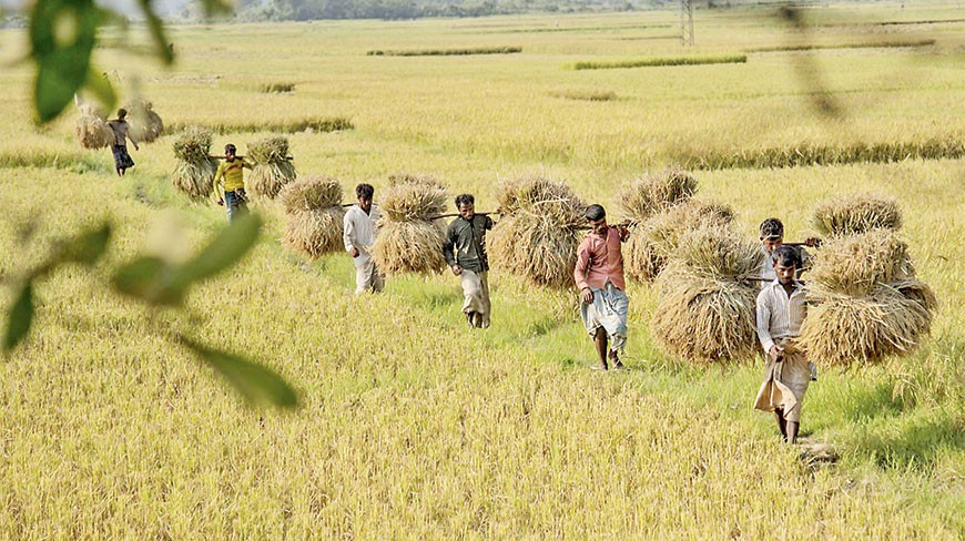Photo: Dhaka Tribune Photo: Dhaka Tribune