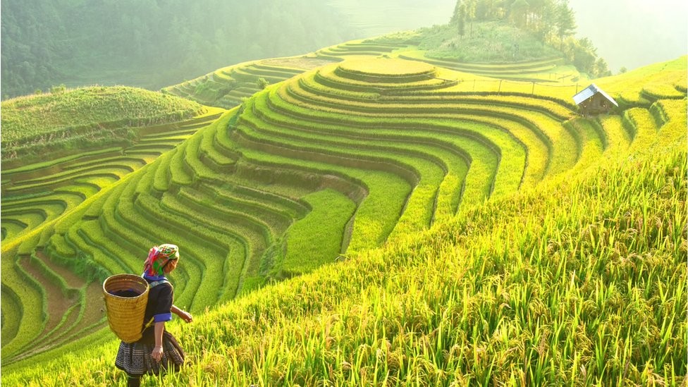 Photo: Getty Images Photo: Getty Images
