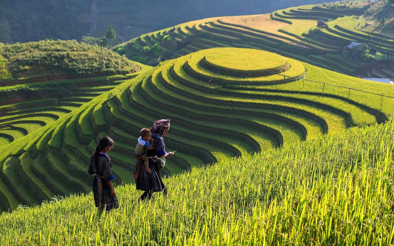Photo: Vietnam Discovery Travel Photo: Vietnam Discovery Travel