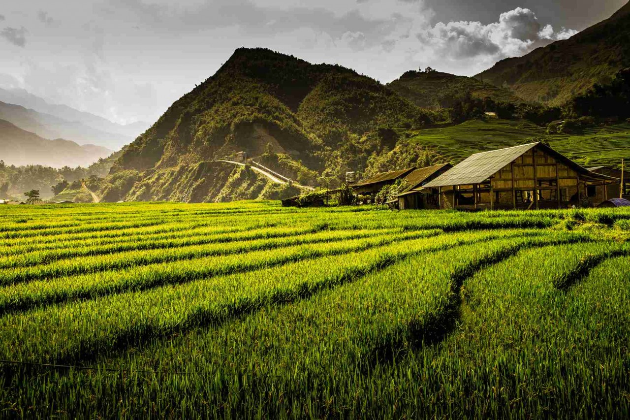 Photo: TuraVietnam Photo: TuraVietnam