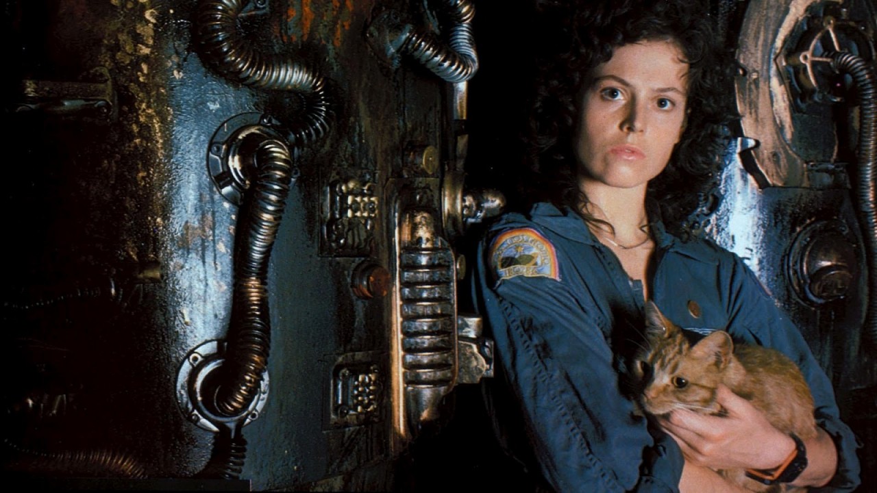 Photo: Imdb Photo: Imdb