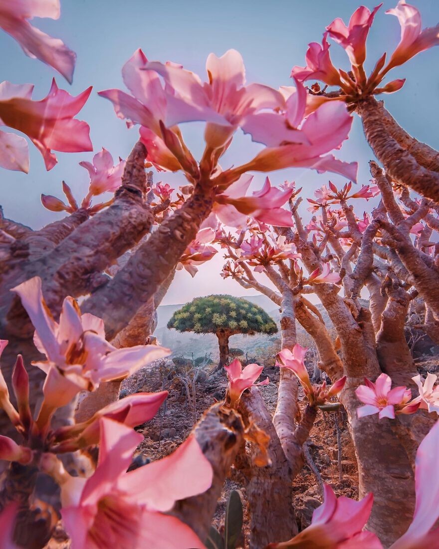 Photo: hobopeeba Photo: hobopeeba
