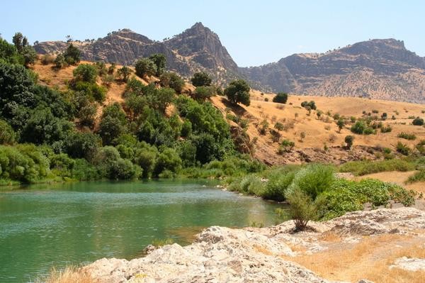 Photo: Nature Iraq Twitter Photo: Nature Iraq Twitter