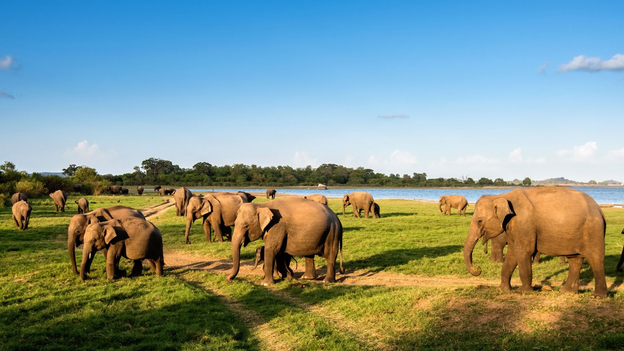 Natural World Safaris Natural World Safaris