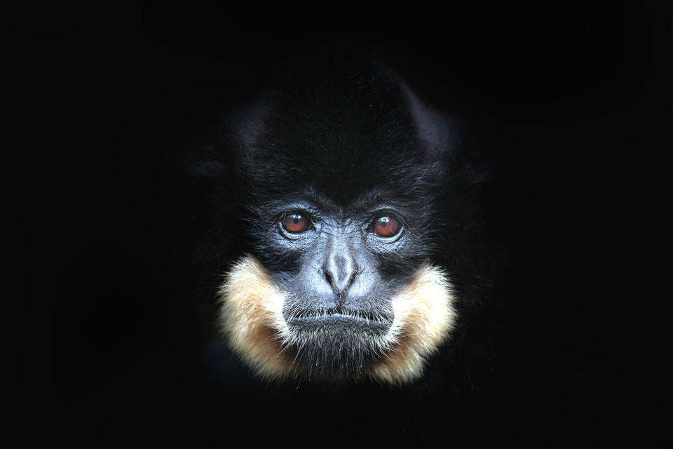 Photo: Dreamstime Photo: Dreamstime