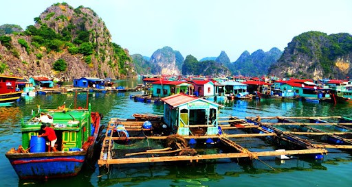 Photo: Paradise Elegance Cruise Halong Photo: Paradise Elegance Cruise Halong