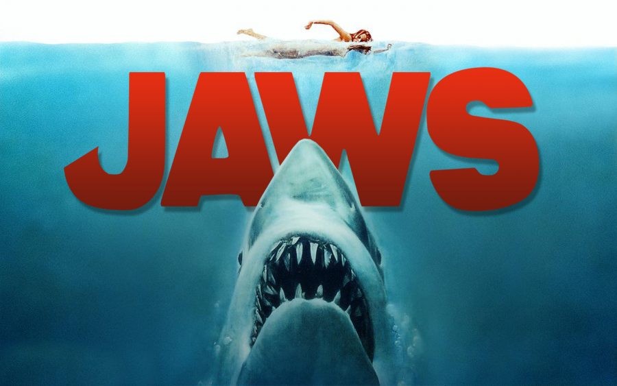 Photo: Universal Pictures Photo: Universal Pictures