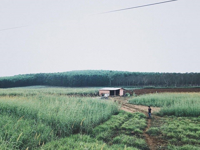 Photo: VinLove Photo: VinLove