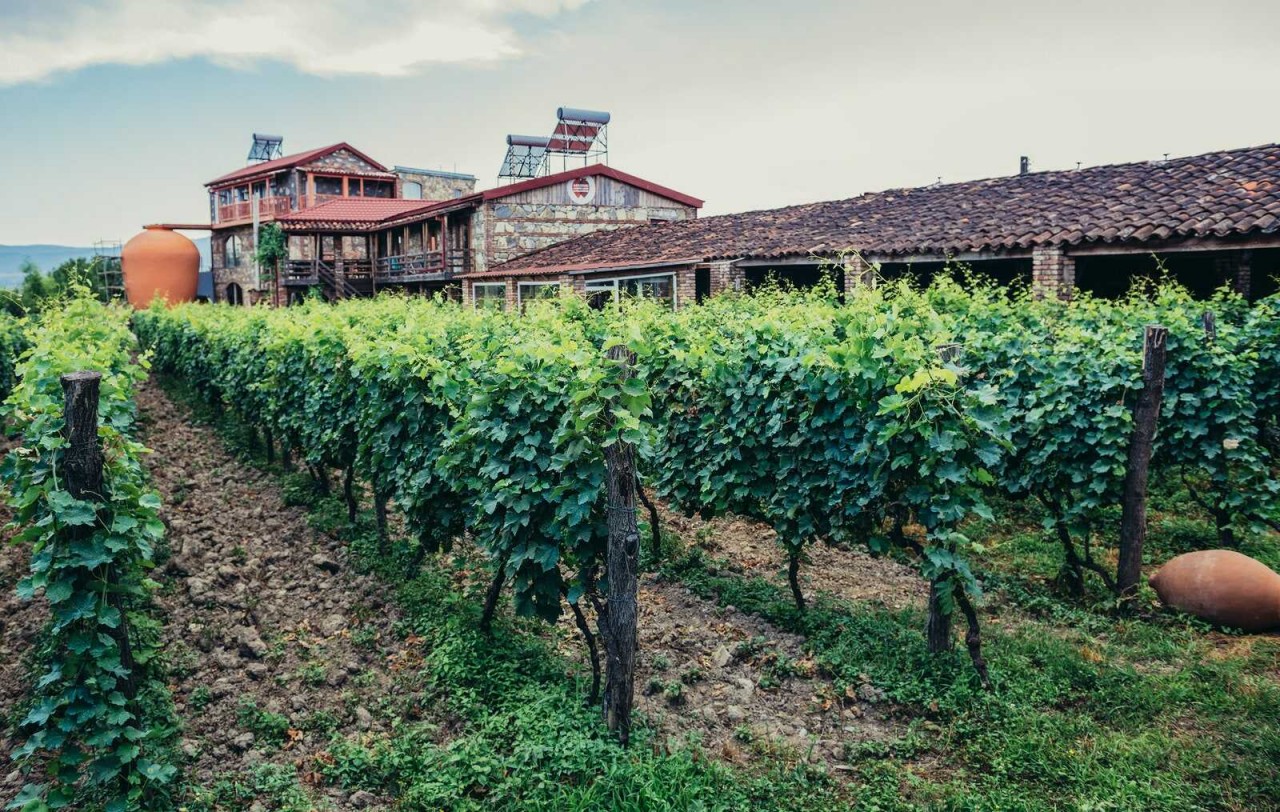 Napareuli village is home to Twins Old Cellar, which is a mandatory stop in the country. Photo: Getty Napareuli village is home to Twins Old Cellar, which is a mandatory stop in the country. Photo: Getty
