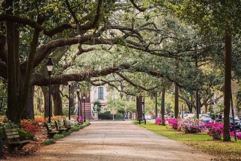 Top 7 Best Weekend Getaways for November in US