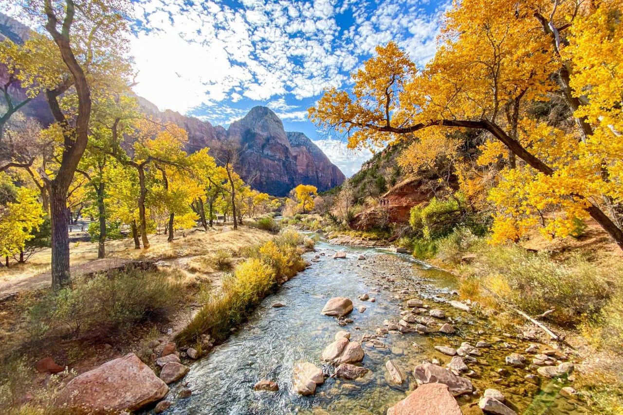 Photo: Utah Photo: Utah