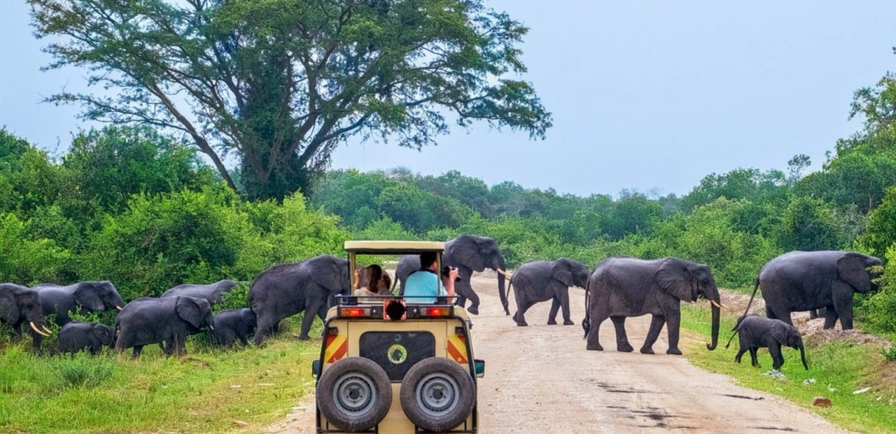 Photo: Travel Sri Lanka With Dilan Photo: Travel Sri Lanka With Dilan