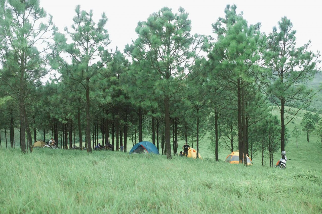 Photo: Tour Cắm Trại Quảng Ninh - CampingTour Photo: Tour Cắm Trại Quảng Ninh - CampingTour